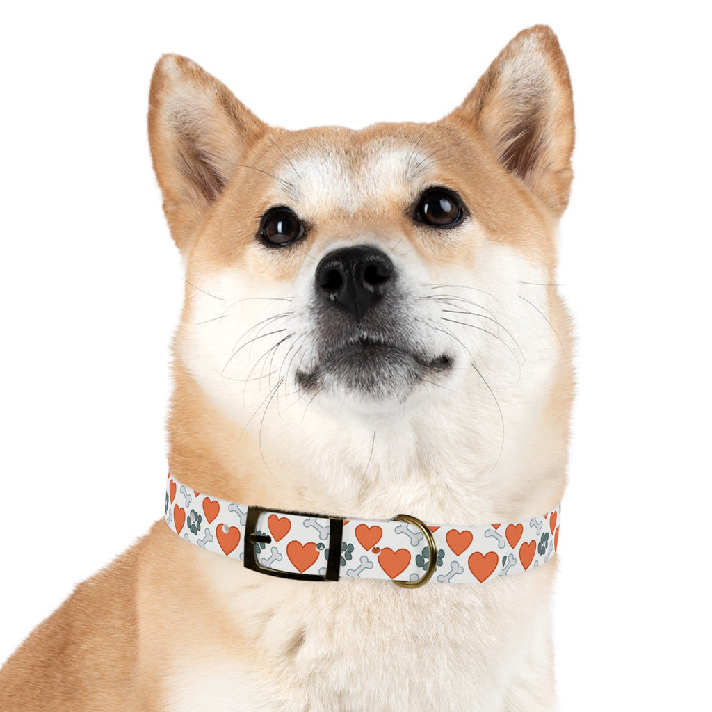 Dog Collar — Heart, Paw & Bone Pattern Collar