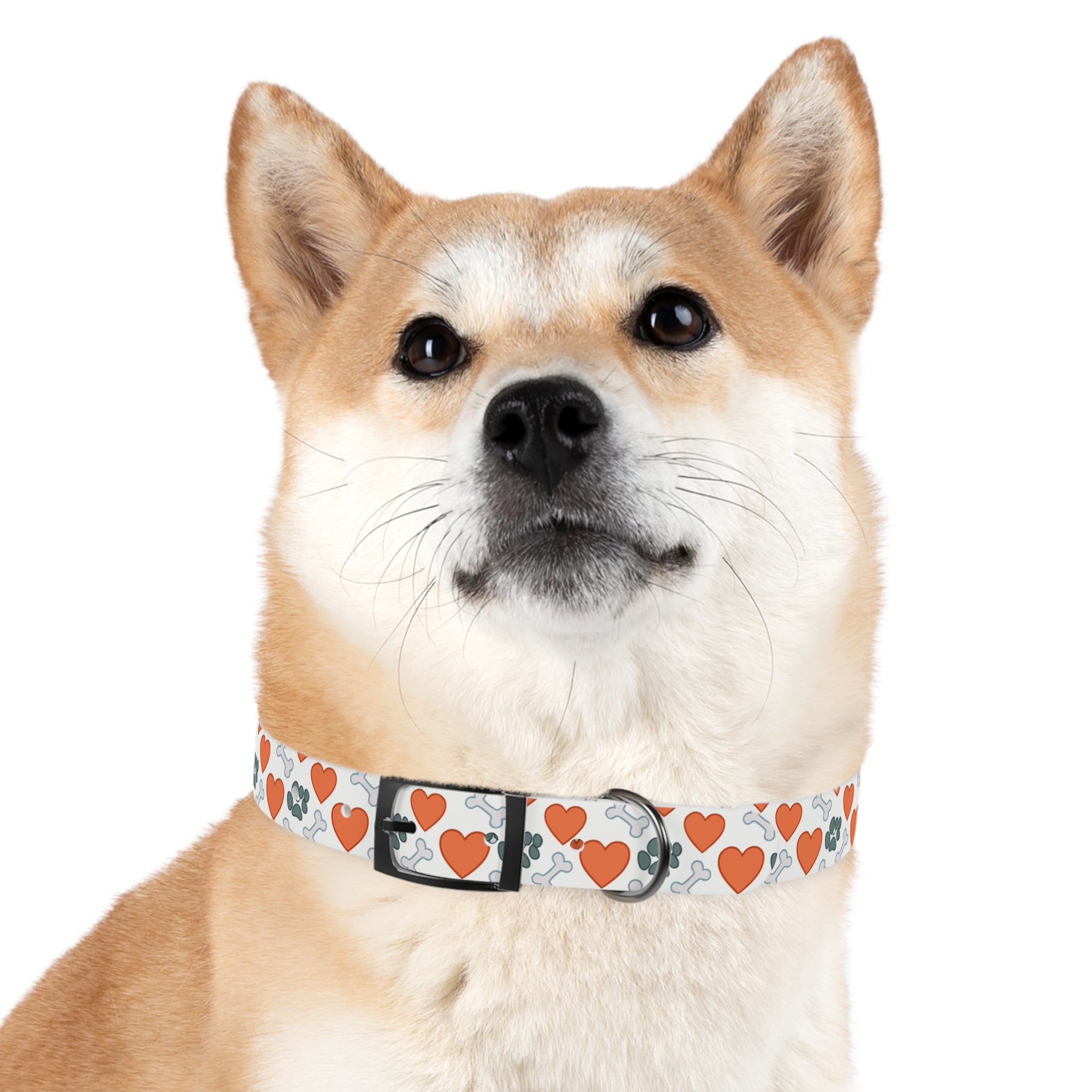 Dog Collar — Heart, Paw & Bone Pattern Collar