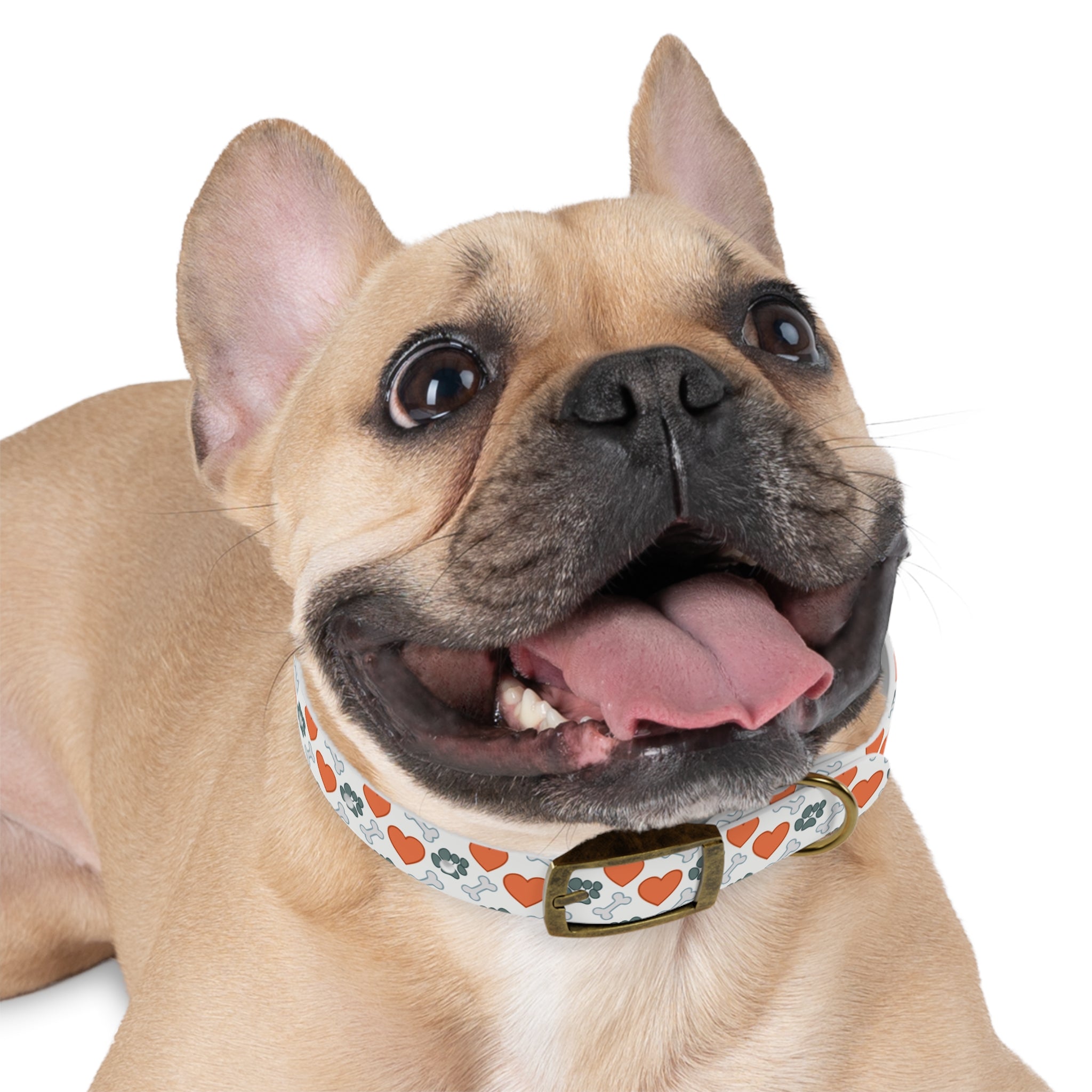 Dog Collar — Heart, Paw & Bone Pattern Collar