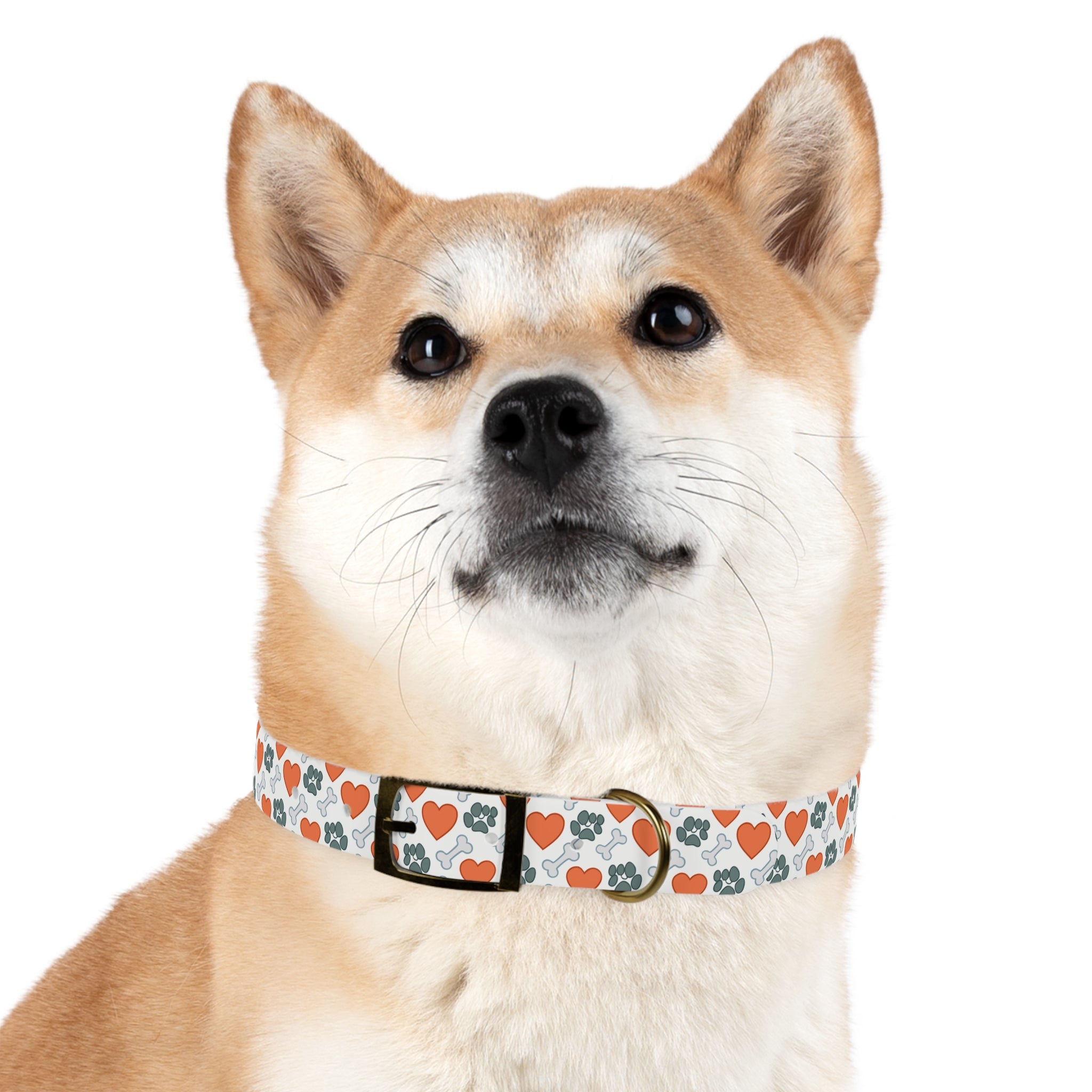 Dog Collar — Heart, Paw & Bone Pattern Collar