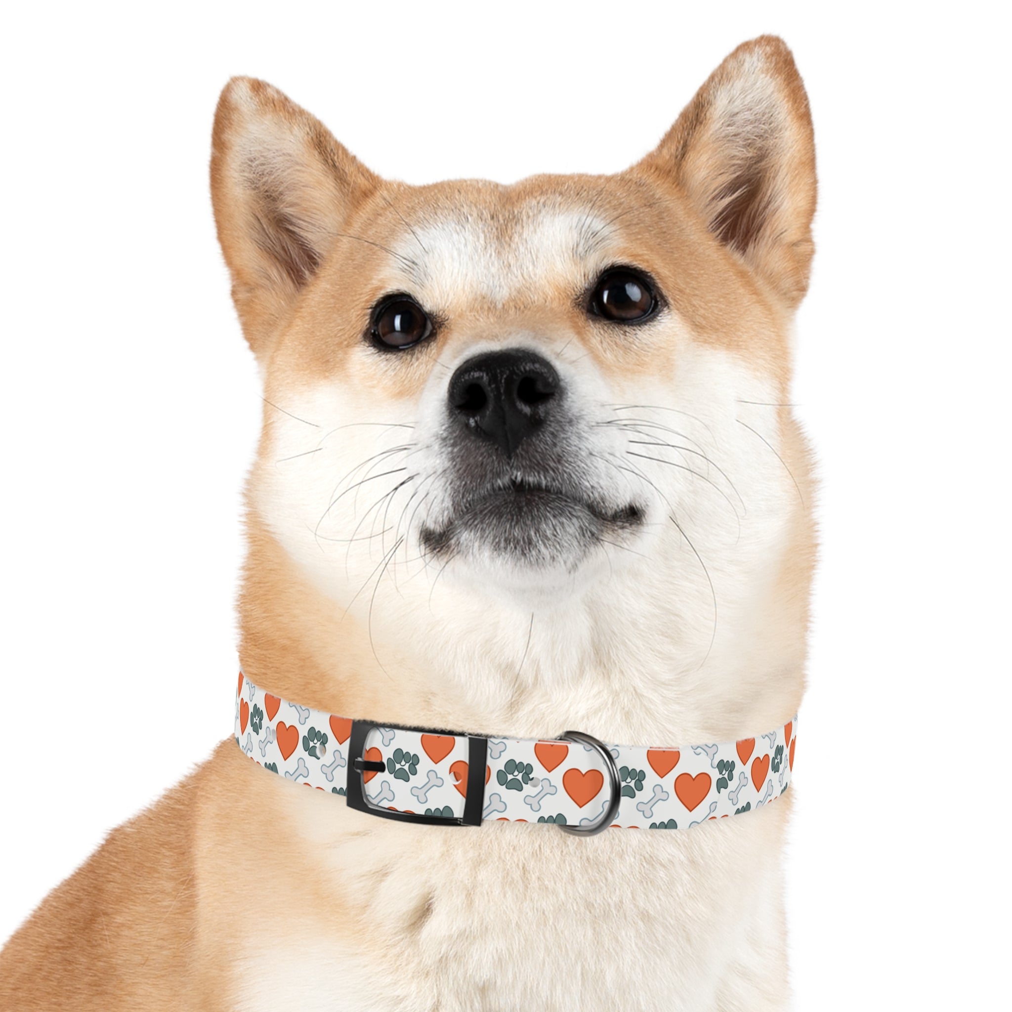 Dog Collar — Heart, Paw & Bone Pattern Collar