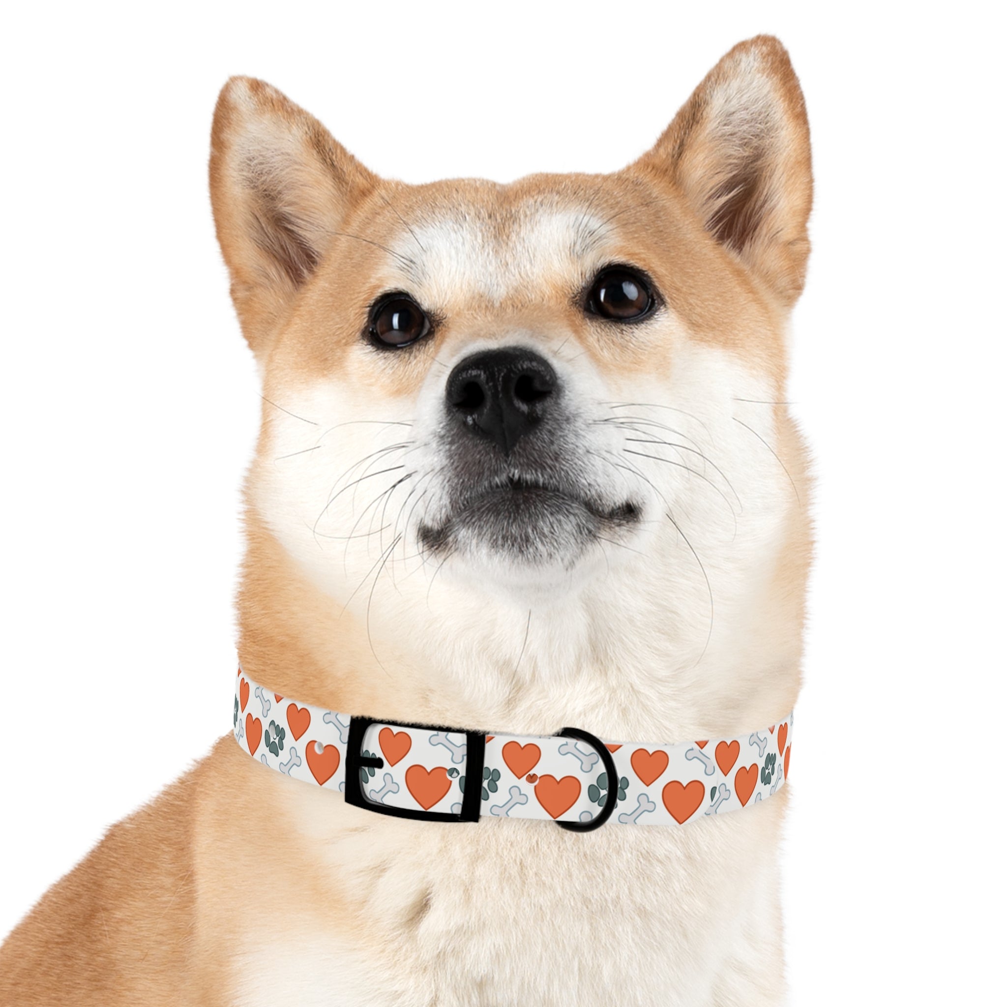 Dog Collar — Heart, Paw & Bone Pattern Collar