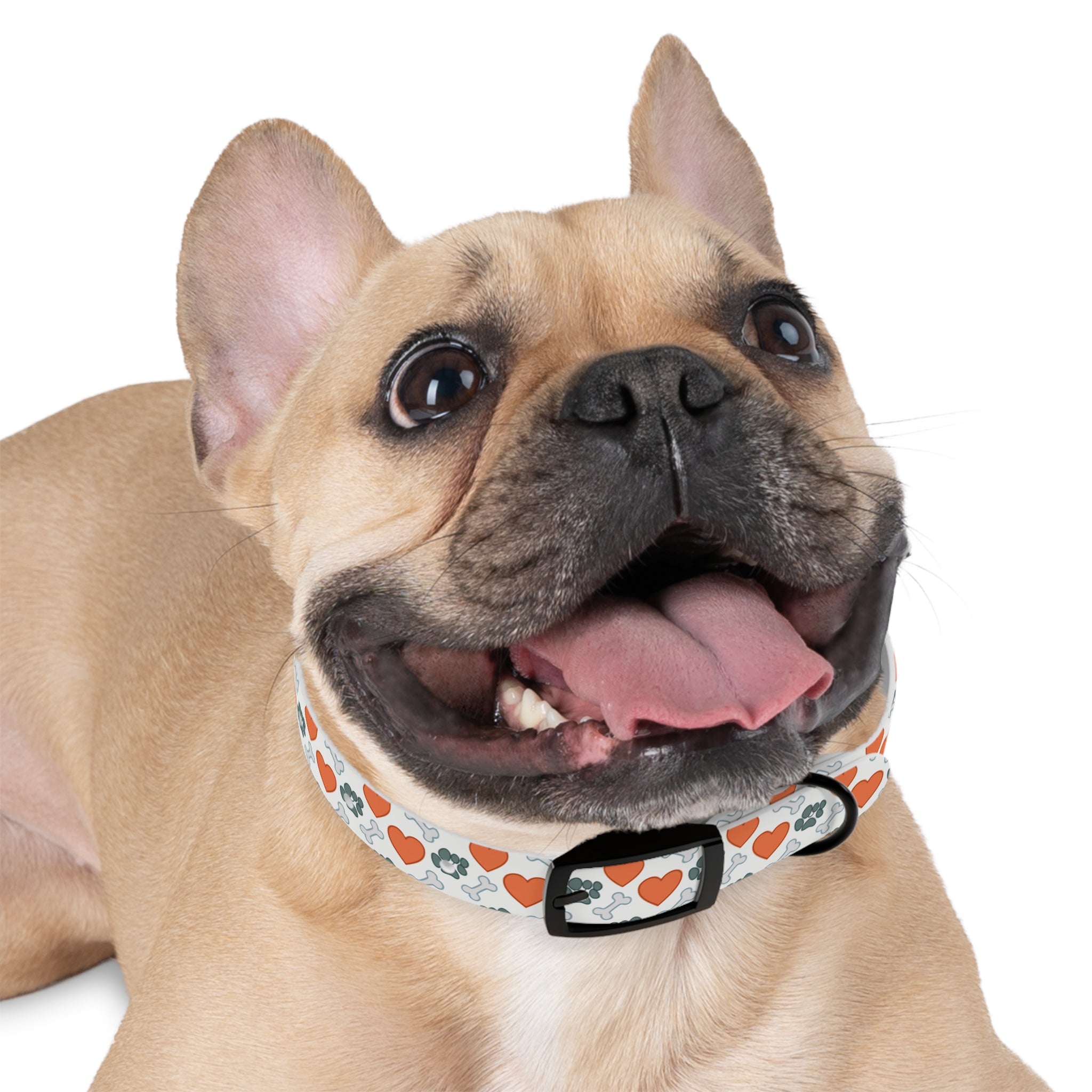 Dog Collar — Heart, Paw & Bone Pattern Collar