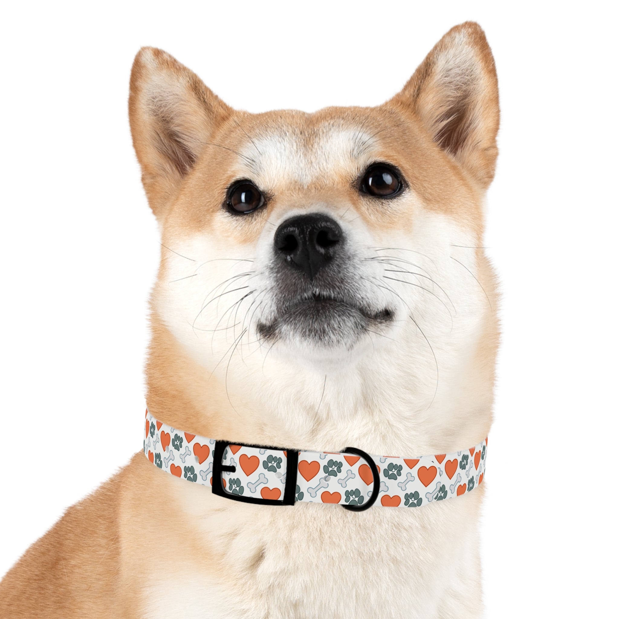 Dog Collar — Heart, Paw & Bone Pattern Collar