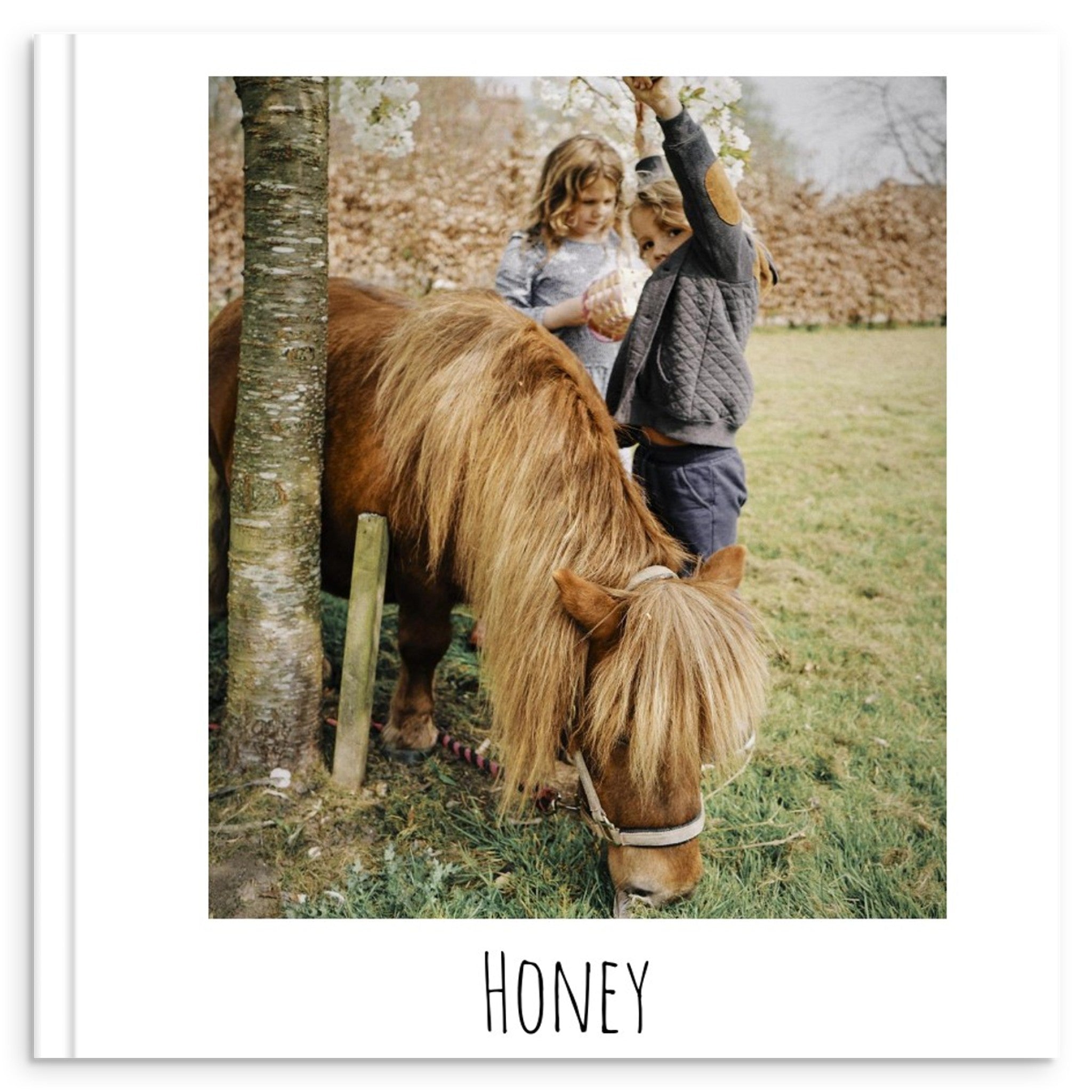 bc4c430e-259f-4492-a96b-37aa265828bd