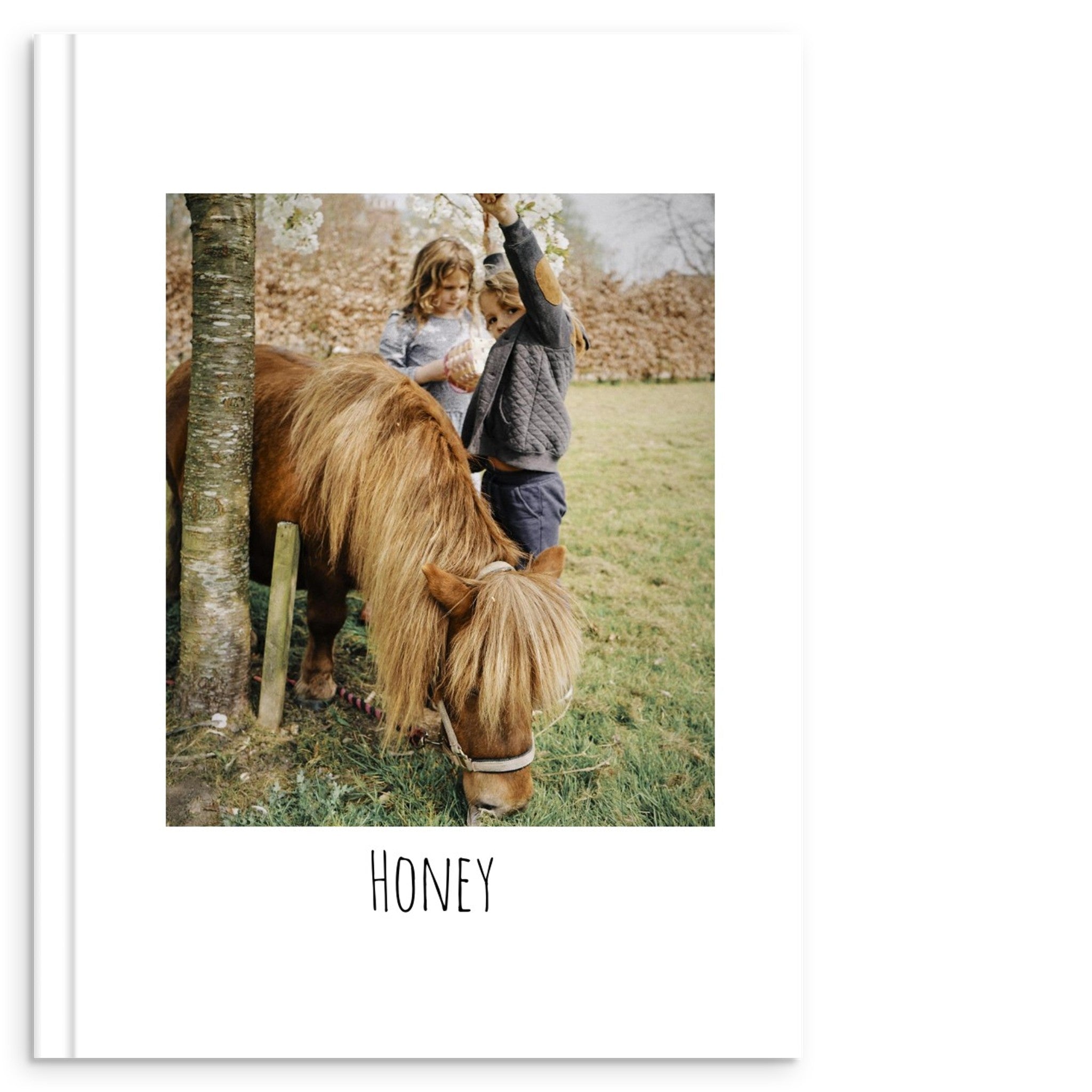 debc8c89-762e-4c45-9a6a-455d2065ac69