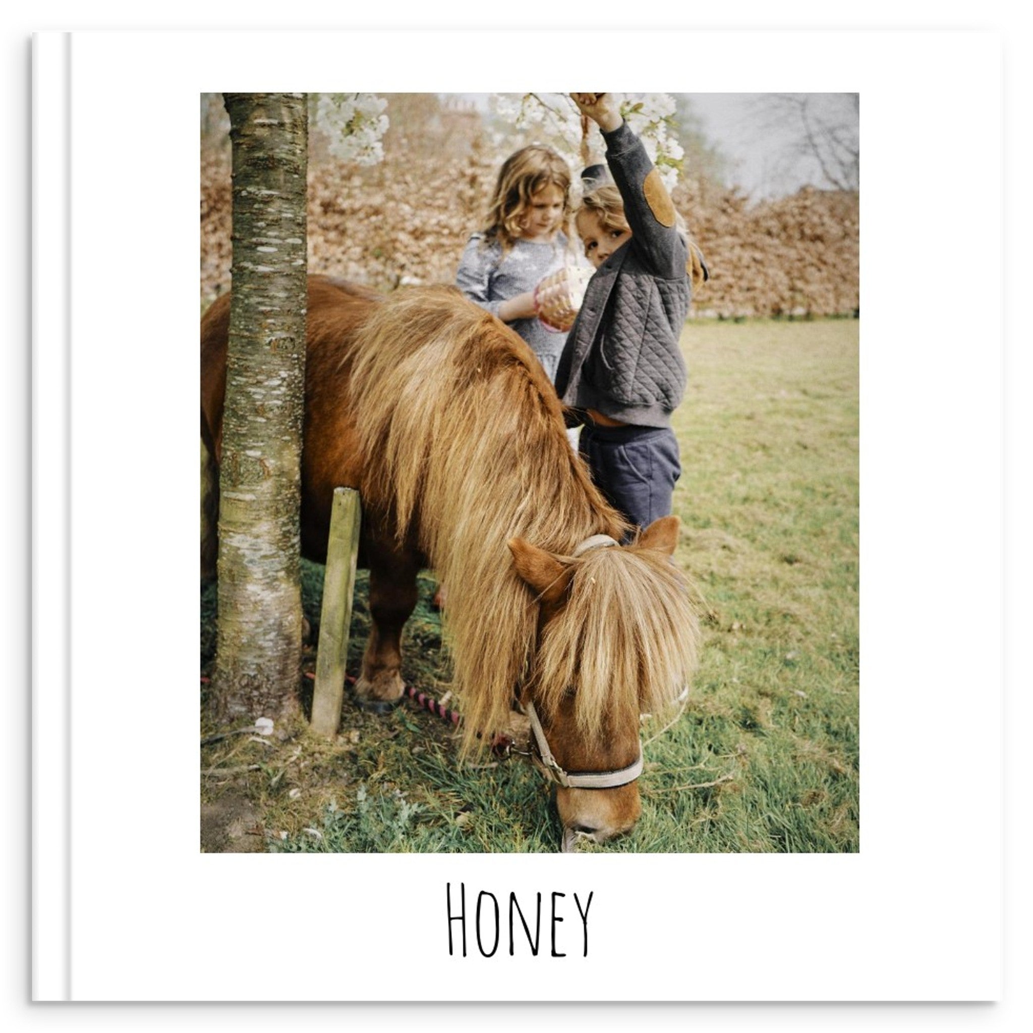 fdbf42fe-b44f-49ea-9b2d-a0b3f947e011